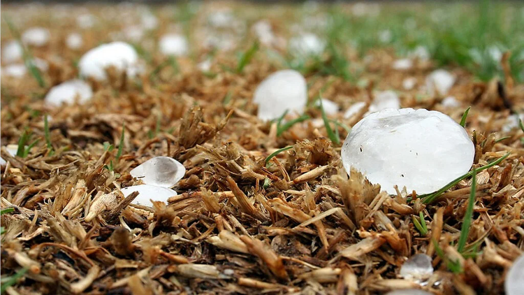 Hail Damages Roofs