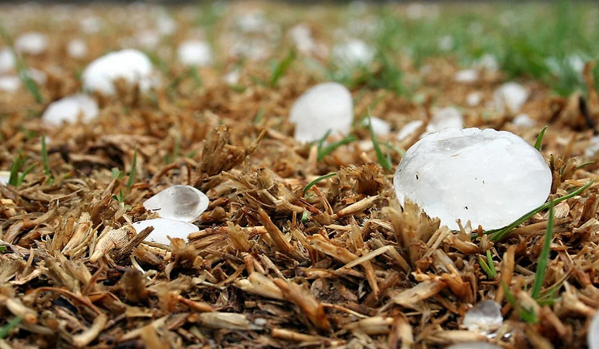 Hail Damages Roofs